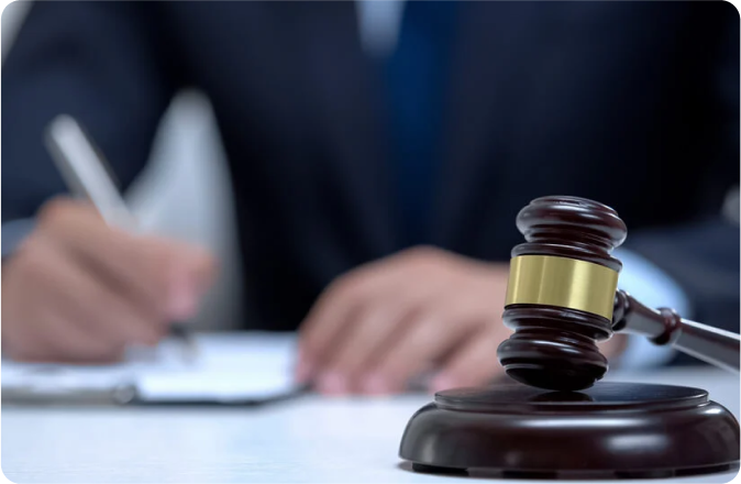 Business & Commercial Litigation