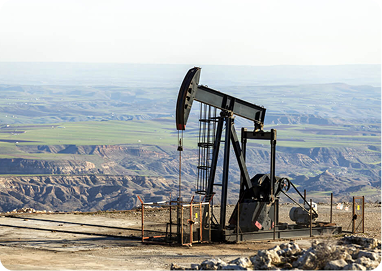 Oil & Gas Litigation