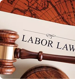 Labor & Employment